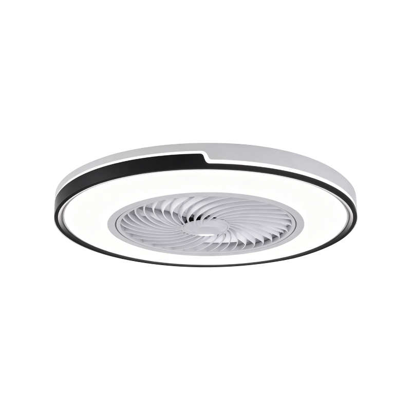 Flush Mount Ceiling Fan with Light