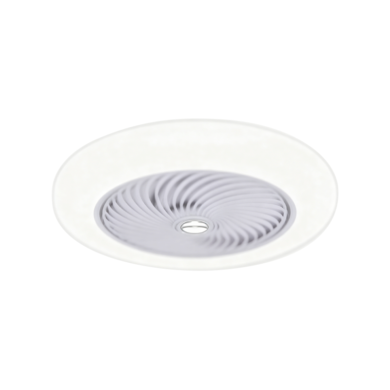 Flush Mount Ceiling Fan with Light