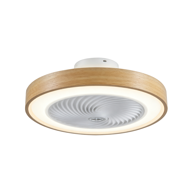 Flush Mount Ceiling Fan with Light