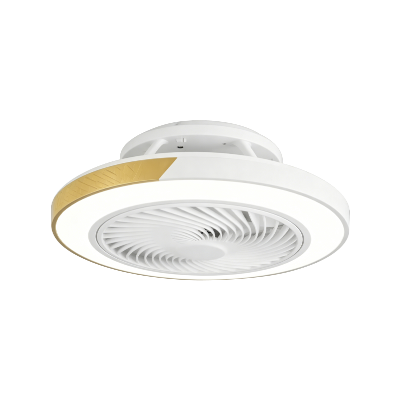 Flush Mount Ceiling Fan with Light