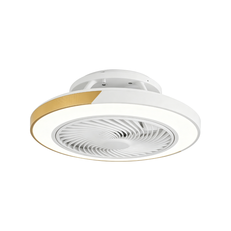 Flush Mount Ceiling Fan with Light
