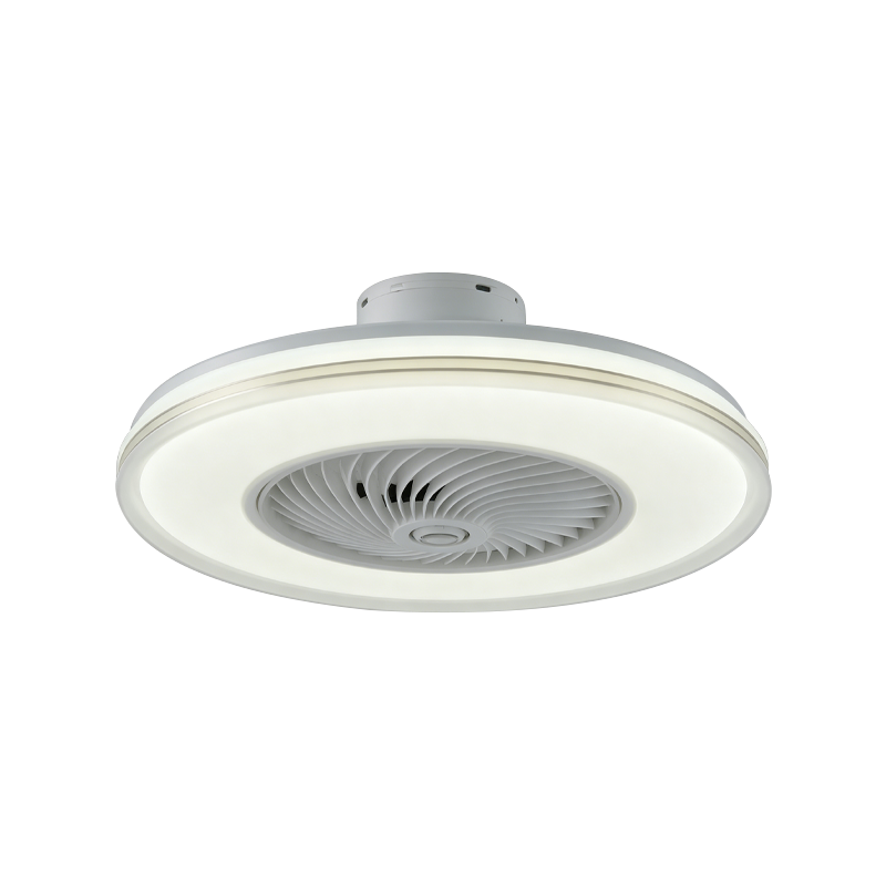 Flush Mount Ceiling Fan with Light
