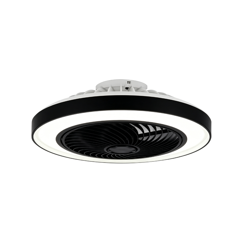 Flush Mount Ceiling Fan with Light
