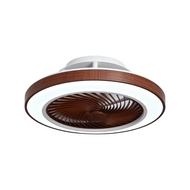 Flush Mount Ceiling Fan with Light