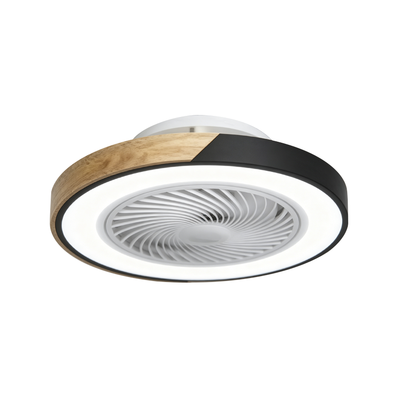 Flush Mount Ceiling Fan with Light