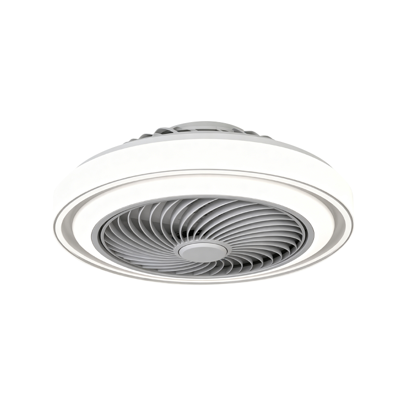 Flush Mount Ceiling Fan with Light