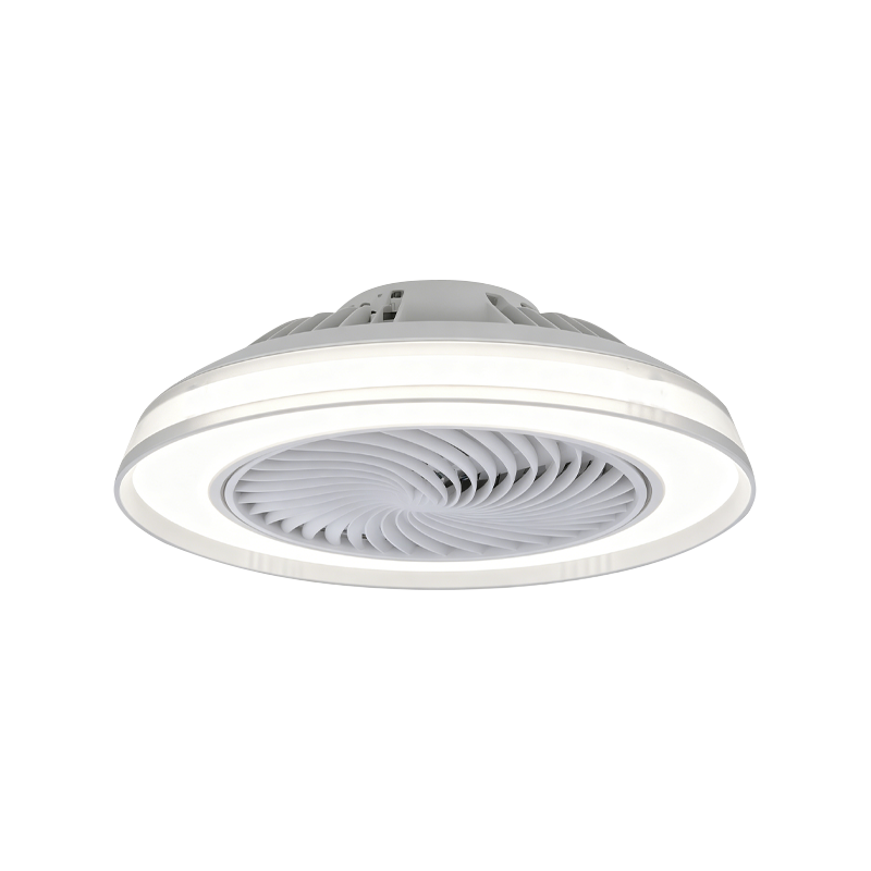 Flush Mount Ceiling Fan with Light