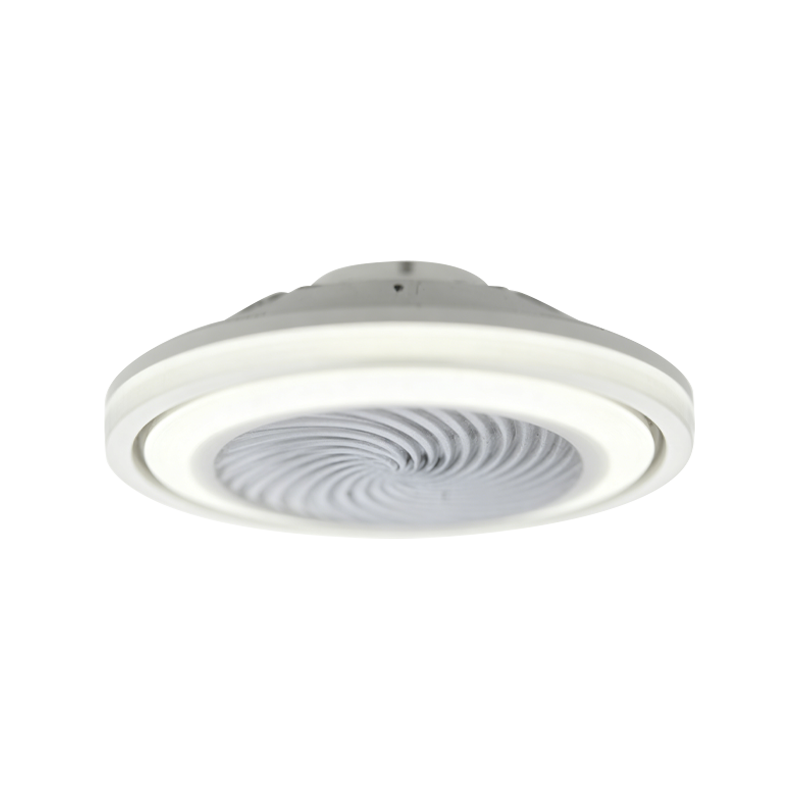 Flush Mount Ceiling Fan with Light
