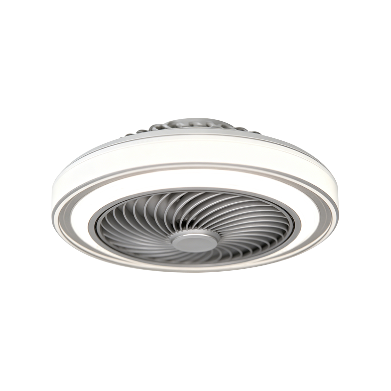 Flush Mount Ceiling Fan with Light