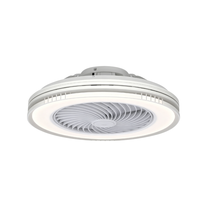 Flush Mount Ceiling Fan with Light