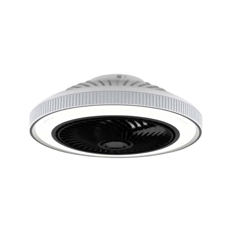 Flush Mount Ceiling Fan with Light