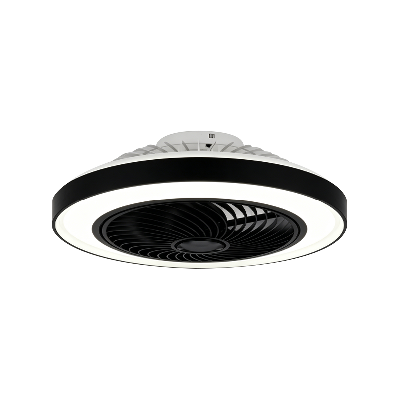Flush Mount Ceiling Fan with Light