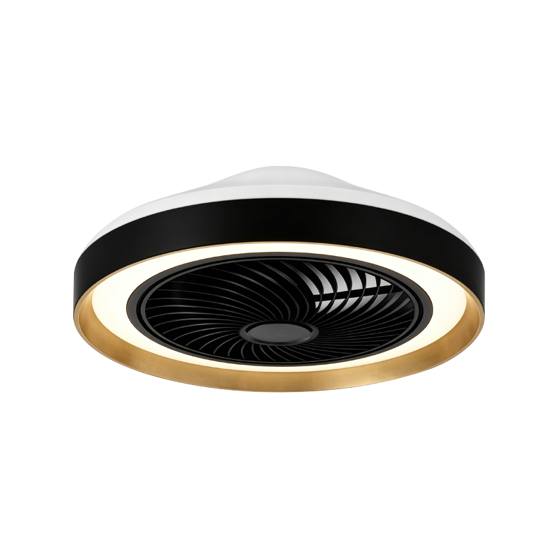 Flush Mount Ceiling Fan with Light