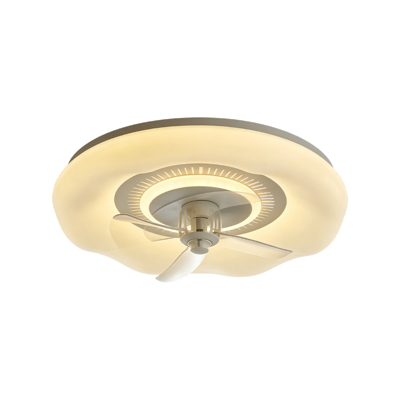 Downrod Ceiling Fan with Light