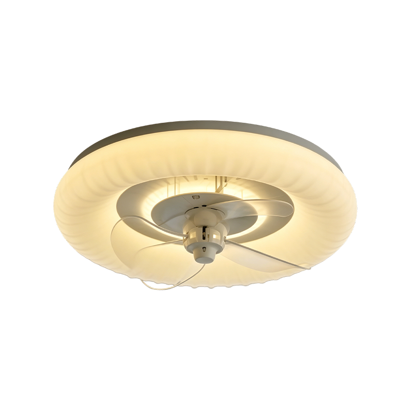 Downrod Ceiling Fan with Light