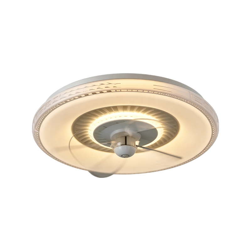 Downrod Ceiling Fan with Light