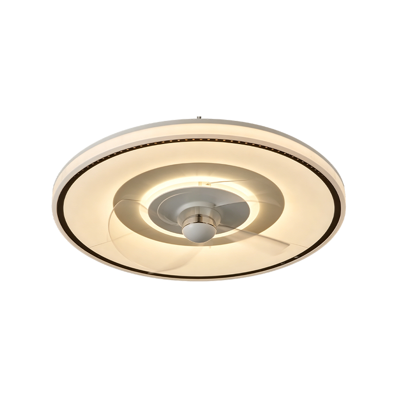 Downrod Ceiling Fan with Light
