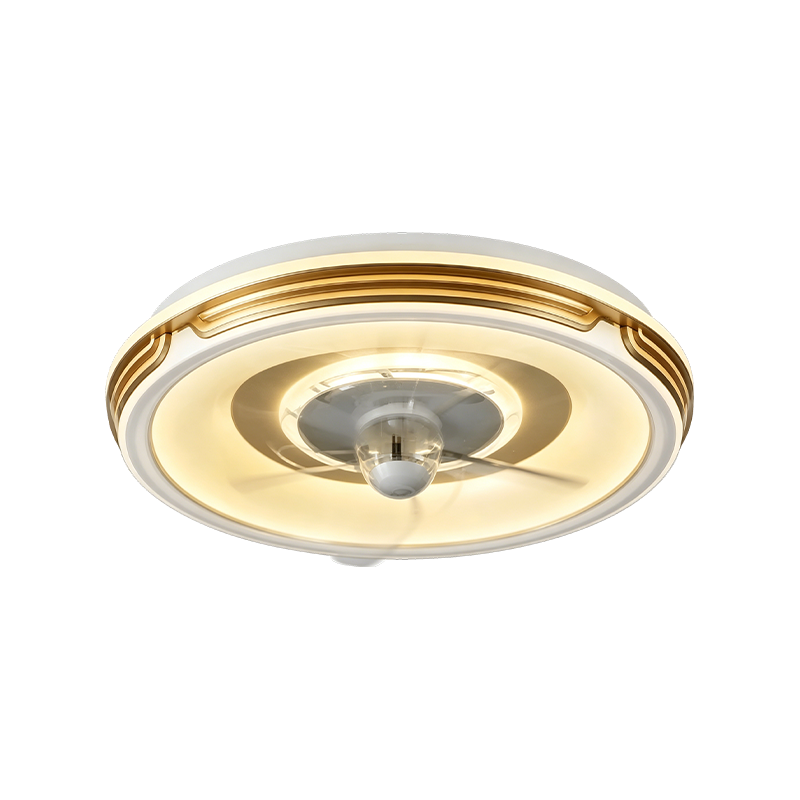 Downrod Ceiling Fan with Light