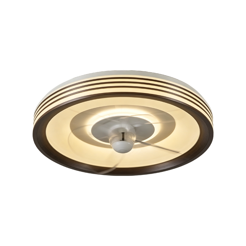 Downrod Ceiling Fan with Light