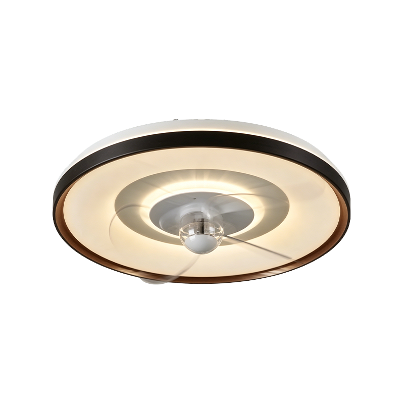 Downrod Ceiling Fan with Light