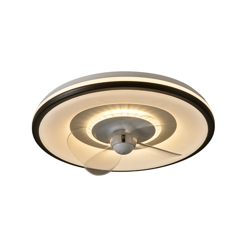 Downrod Ceiling Fan with Light