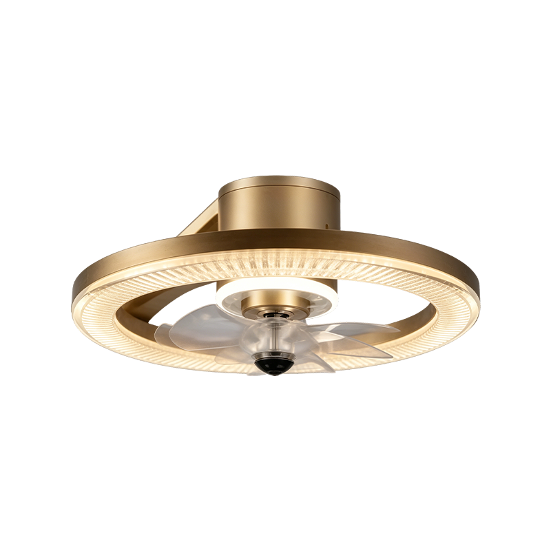 Downrod Ceiling Fan with Light