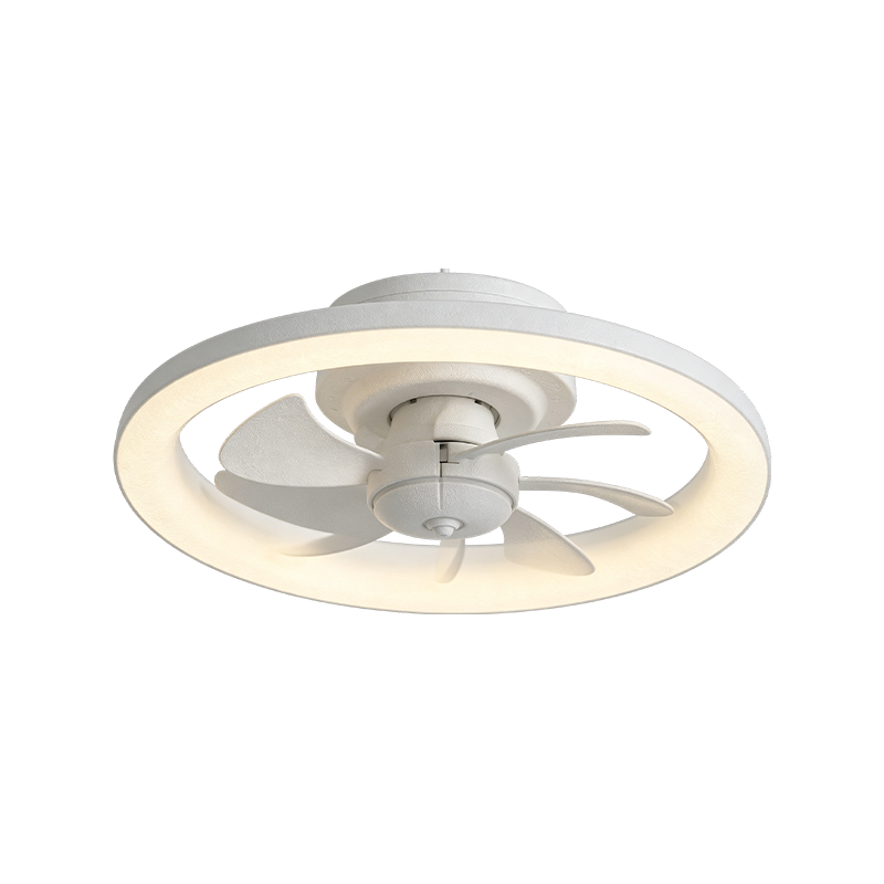 Downrod Ceiling Fan with Light