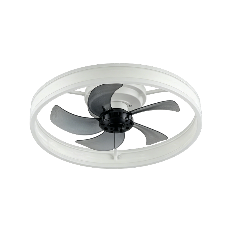 Downrod Ceiling Fan with Light