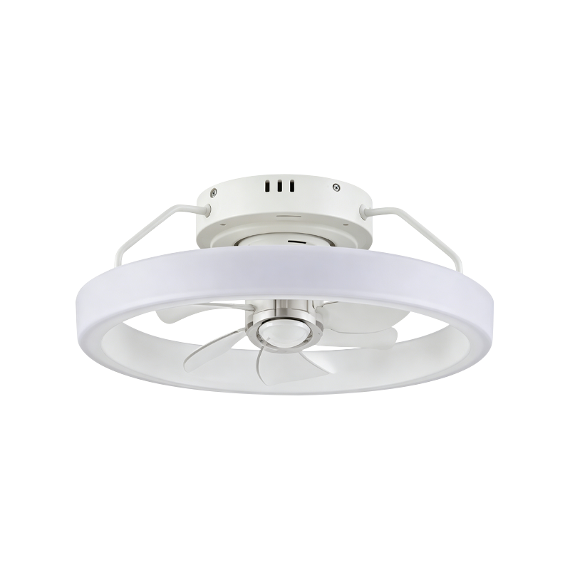Oscillating Bedroom Ceiling Fan with Light