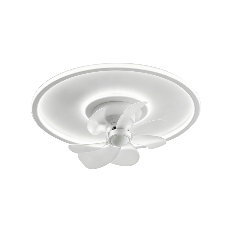 Oscillating Bedroom Ceiling Fan with Light