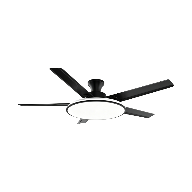 Conventional Fan Lamp