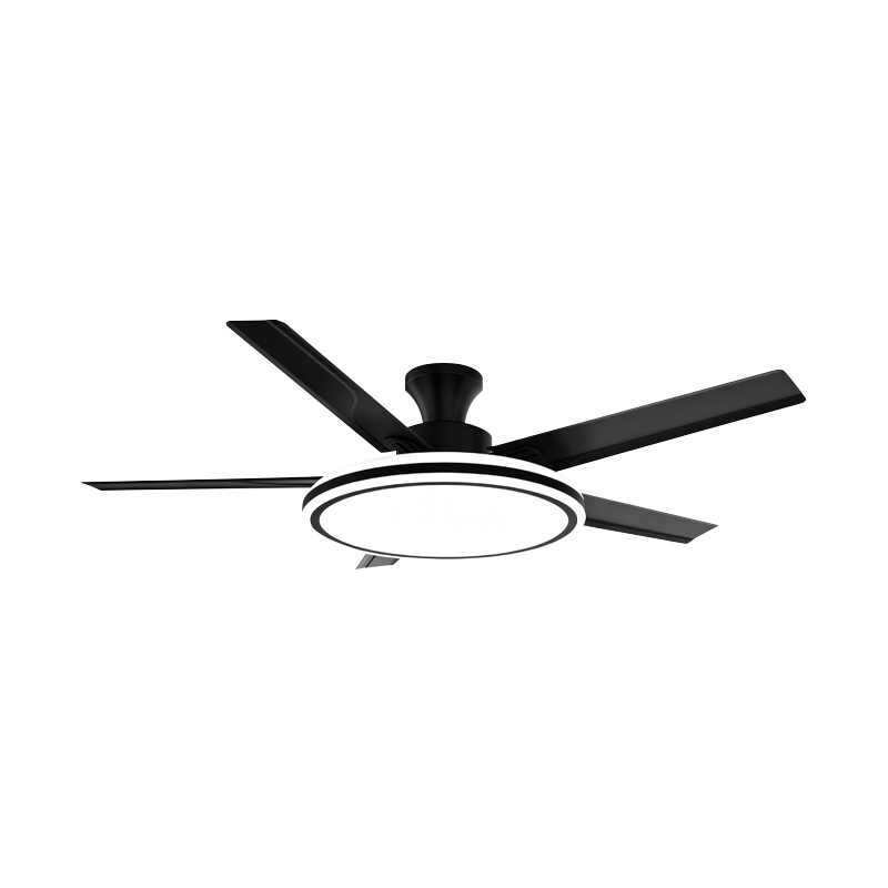 Conventional Fan Lamp