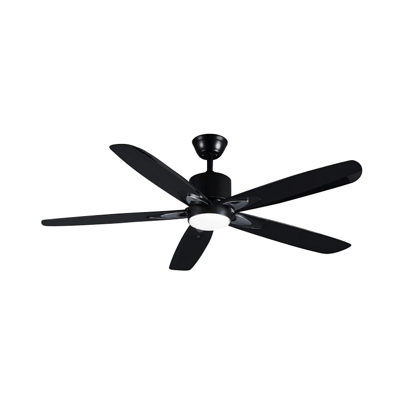 Large Size ABS Blade Ceiling Fan with Light