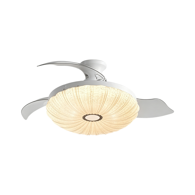 Starry Sky Acrylic LED Ceiling Fan Light Starry Sky Acrylic LED Ceiling Fan Light