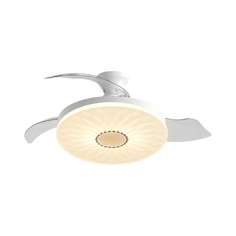 Starry Sky Acrylic LED Ceiling Fan Light Starry Sky Acrylic LED Ceiling Fan Light