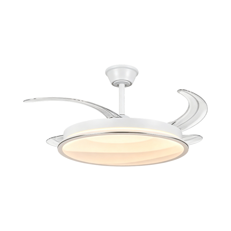 Starry Sky Acrylic LED Ceiling Fan Light Starry Sky Acrylic LED Ceiling Fan Light