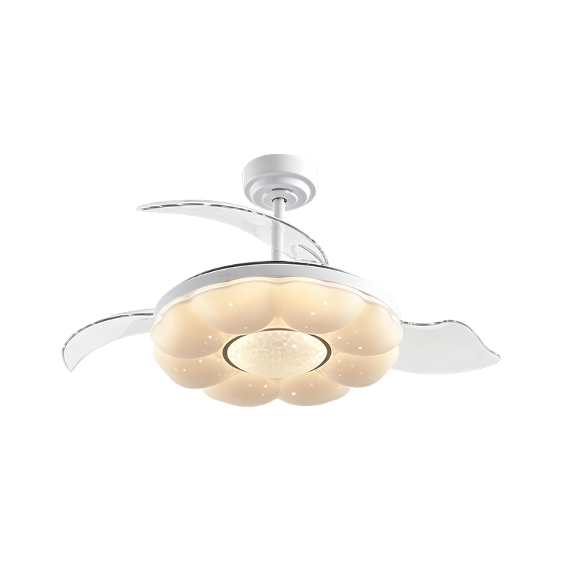 Starry Sky Acrylic LED Ceiling Fan Light Starry Sky Acrylic LED Ceiling Fan Light