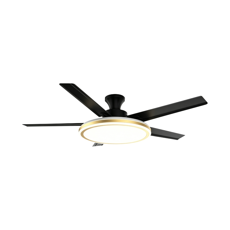 Conventional Fan Lamp