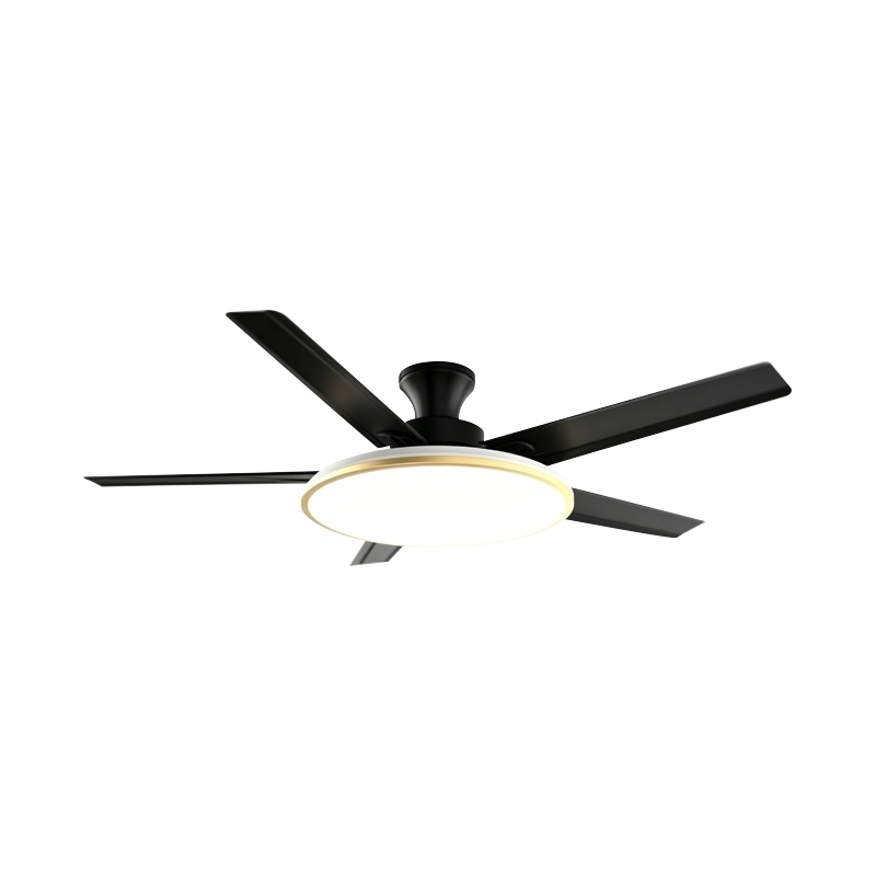 Conventional Fan Lamp