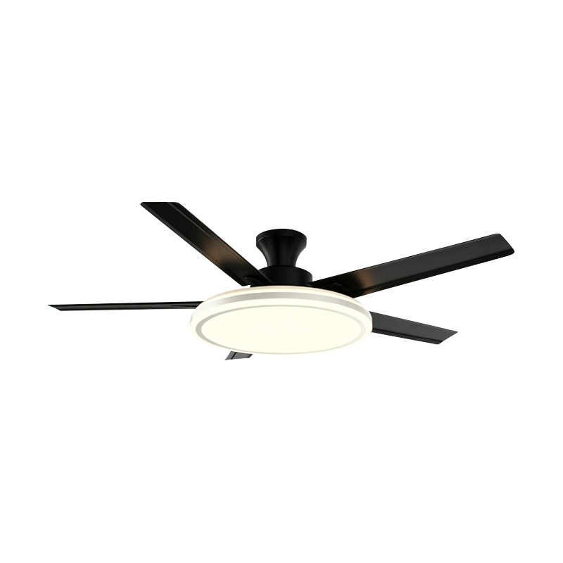 Conventional Fan Lamp