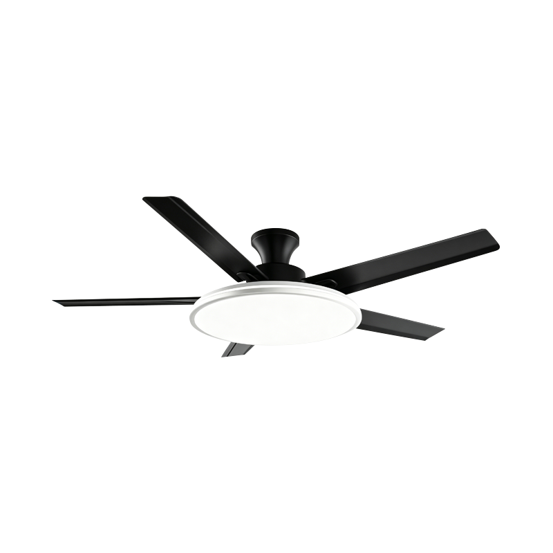 Conventional Fan Lamp