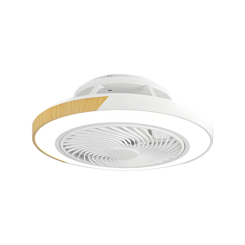 Flush Mount Ceiling Fan with Light