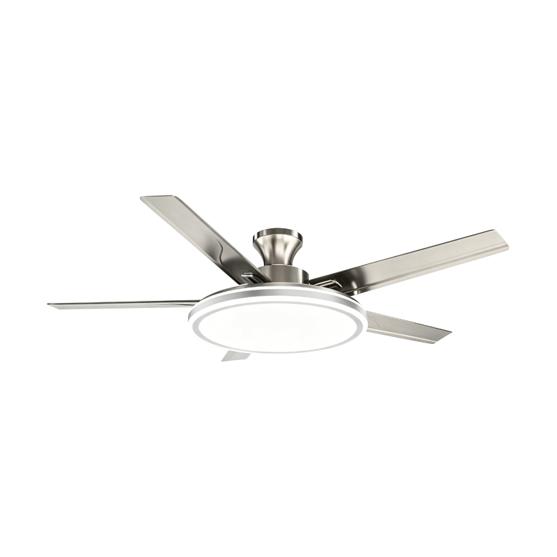Conventional Fan Lamp