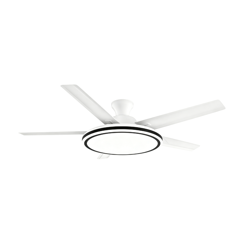 Conventional Fan Lamp