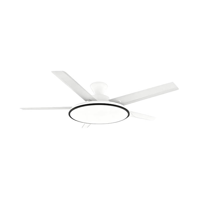 Conventional Fan Lamp