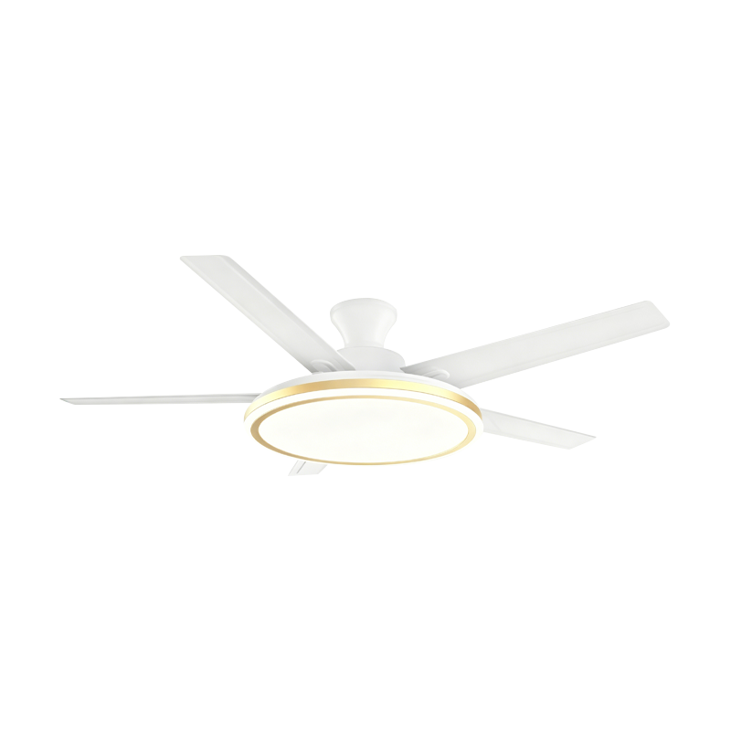 Conventional Fan Lamp