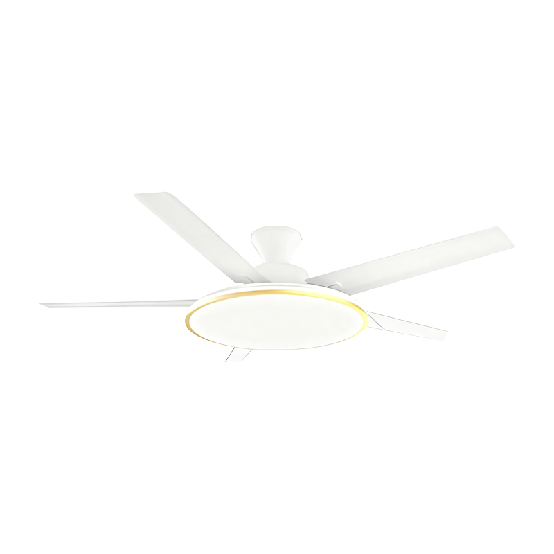 Conventional Fan Lamp