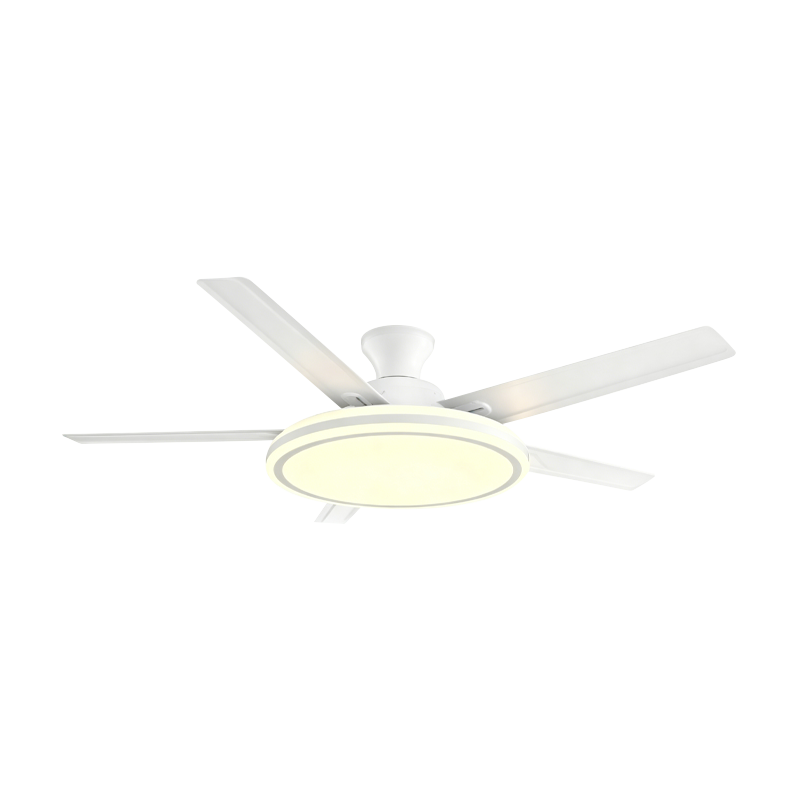 Conventional Fan Lamp