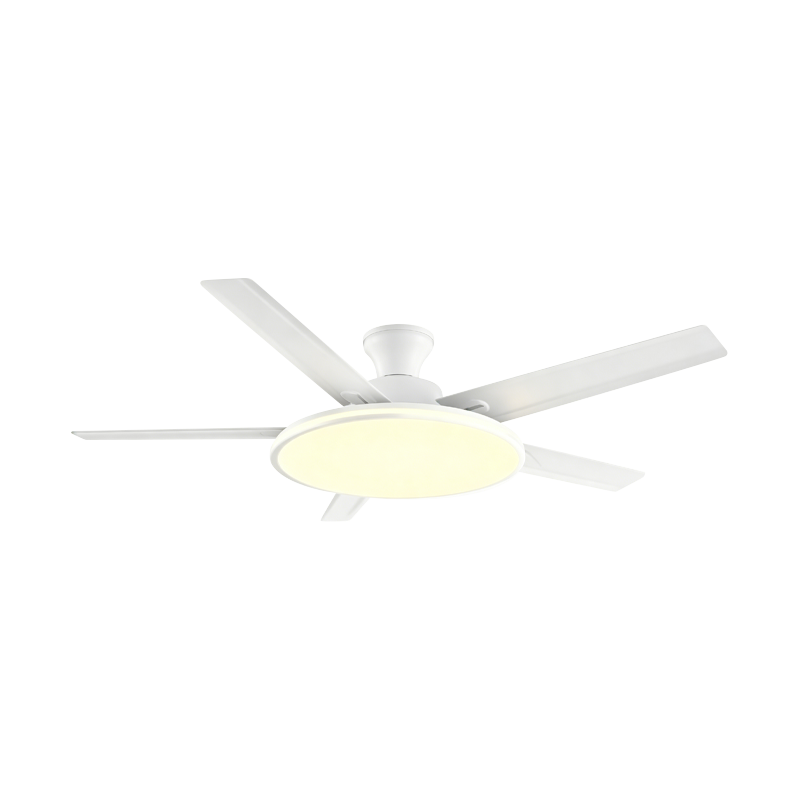 Conventional Fan Lamp